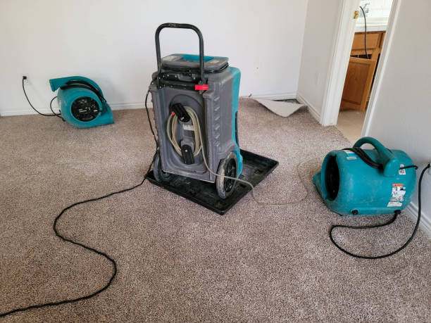 Best Carpet water damage restoration  in Lauderdale Lakes, WI