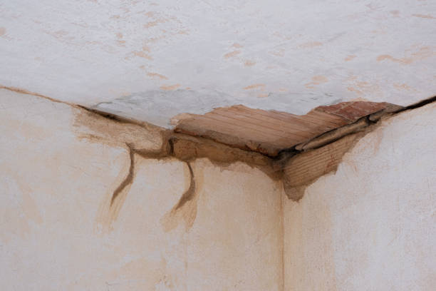 Best Professional water damage repair  in Lauderdale Lakes, WI