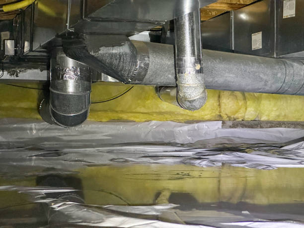 Best Water damage restoration near me  in Lauderdale Lakes, WI