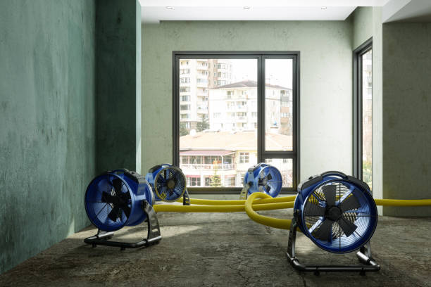 Best Commercial water damage restoration  in Lauderdale Lakes, WI