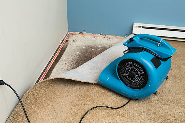 Best Ceiling water damage repair  in Lauderdale Lakes, WI